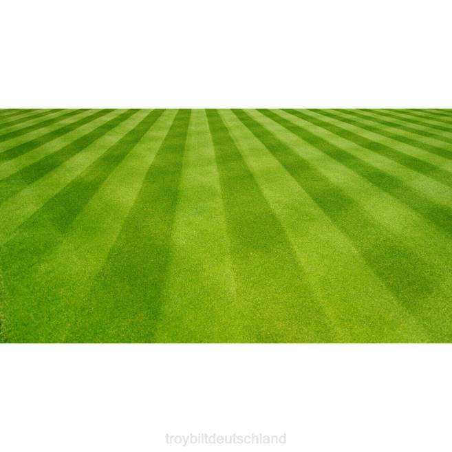 Anhang| ZRTR199 Rasenstreifen-Set für 46-Zoll-Decks Troy-Bilt